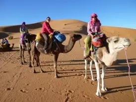  in Las Dunas Sahara, Morocco