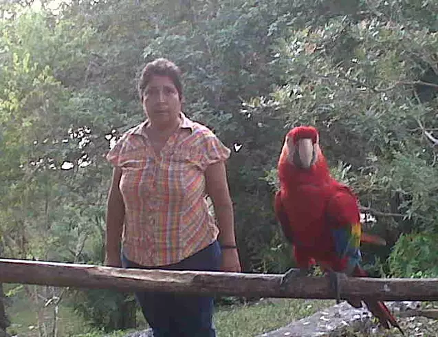  in Guatemala