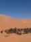 Looking for a date in Merzouga